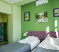 Стандартный без балкона в Серый гусь