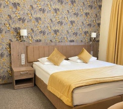 Номер стандарт комфорт в Ерино