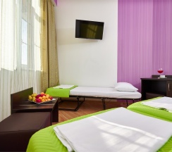 Стандарт семейный ПЛЮС с балконом в Диса