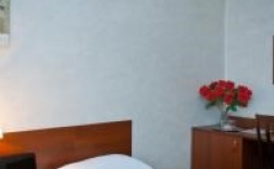 Двухместный TWIN в Park hotel Bogorodsk