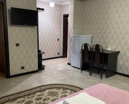 Номер стандарт с 1 двуспальной кроватью в Жемчужина