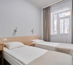 Стандарт с одной двуспальной или двумя раздельными кроватями в Салют