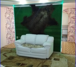 Апартаменты (2+1) в Северная звезда