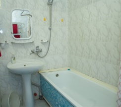 Семейный в Дельфин