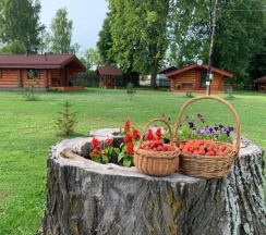 Двухместный номер Deluxe с красивым видом из окна (двуспальная кровать) в Усадьба Чертолино