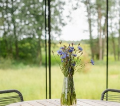 Forest lodge с чаном в Бухлово парк