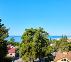 ДАБЛ без балкона в Диса