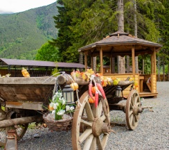 Двухместный семейный номер Classic с красивым видом из окна двуспальная кровать и диван в Wolf