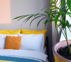 Апартаменты студия Бирюза ApartaMIA в Семейный уголок