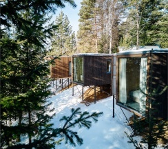 Стандарт в Телецкое Золотое