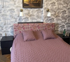 Апартаменты видовые в У Зимнего дворца