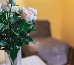 3-х местный супериор в Южный