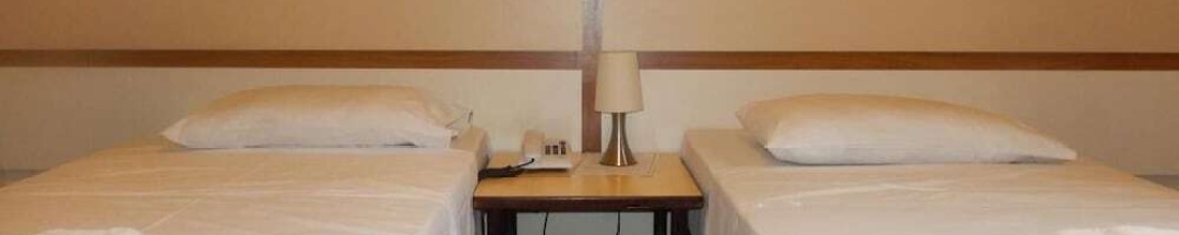 Двухместный номер Standard 2 отдельные кровати в Hotel Metropole