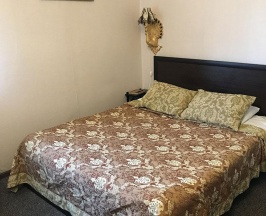 Номер "1920" (с завтраком) в Вороново клубъ