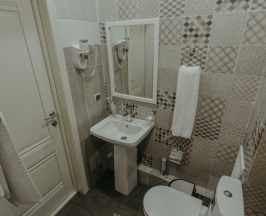 Номер делюкс с 1 двуспальной кроватью (с завтраком, мансарда) в Larch