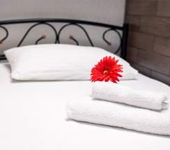 Одноместный номер (5 этаж без лифта) в Everest