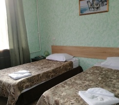 Двухместный номер с 2 отдельными кроватями и душем в Луга