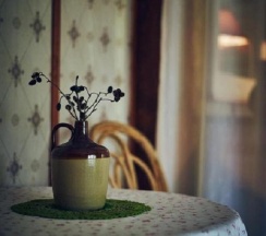 Двухкомнатный полулюкс в Чеховская дача