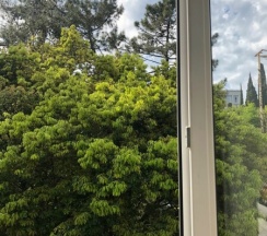 Апартаменты с 1 спальней - Курортный пр.75/1 в Golden Holiday apartments