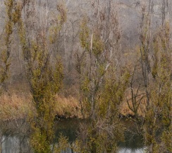 Номер Полулюкс 3-6 в Интурист