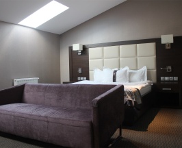 Люкс мансарда в Aria