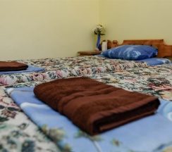 Стандартный 2х местный номер 1 этаж в Green oasis Vavilon