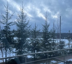 Студия в Михайловское угодье