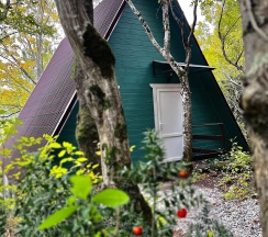 Дом  "А-Фрейм" в Бирюза-Юг