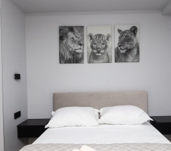 Апартаменты студия в MOKO Apartments (МОКО Апартментс) на улице Бахрушина 1 сектор 1