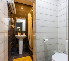 Стандартный номер с двуспальной кроватью в Невский 111