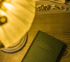 Номер улучшенный комфорт Бабье Царство в Честный Чехов