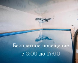 4-местный номер студия семейный в Крыжовник