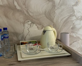 Стандарт улучшенный без балкона вид на парк в Черноморец