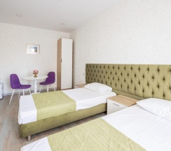 Номер стандарт с 2 односпальными кроватями в Олимп