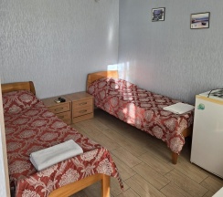 Номер стандарт с 2 односпальными кроватями в Диана