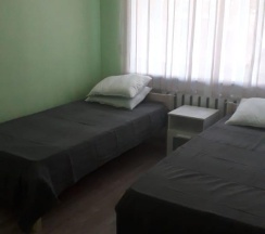 2-местный номер стандарт с 2 односпальными кроватями в Каменский hotel