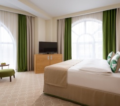 Двухместный номер Superior 2 отдельные кровати в Green Resort
