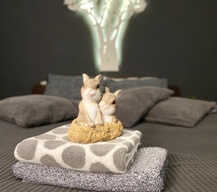 Делюкс в Good night