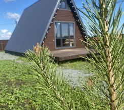 Апартаменты четырехместные в Vigvam village