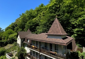 Гостевой дом Гостевой дом Chalet Agave в Гагре