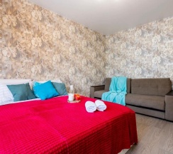 1-комнатные апартаменты стандарт в Sunmarine apartments (Санмарин апартментс) на улице Производственная