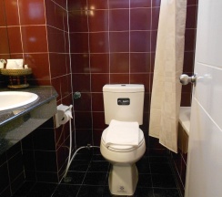 Одноместный семейный номер Standard в BS Court Boutique Residence