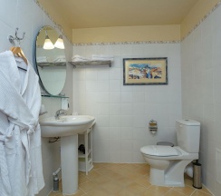 Номер делюкс твин в Губернский