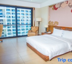 Двухместный номер Standard с красивым видом из окна двуспальная кровать в Jinghai Hotel & Resort