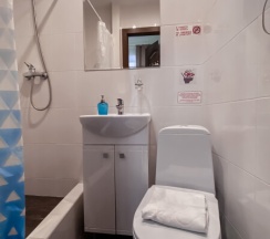Двухместный номер с собственной ванной комнатой (дабл или твин) в Алиса