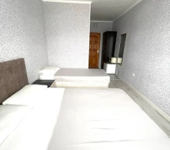 Трёхместный номер Standard с балконом в Ольга