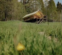 ROMANTIC PLUS в Radostland
