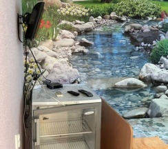 Двухместный номер Standard 2 отдельные кровати в Тихий сад