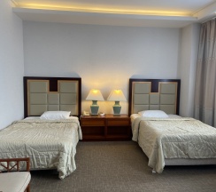 Стандартный номер двухместный в Lenina hotel