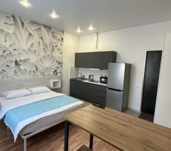 1-комнатные апартаменты студия с 1 двуспальной кроватью в Баринн